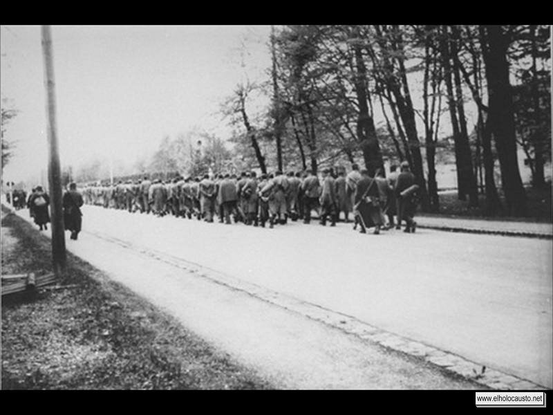 Prisioneros que se dirigen al sur en una marcha. Gruenwald, 29 de Abril de 1945 (3)